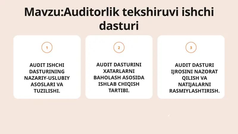 Auditorlik tekshiruvi ishchi dasturi