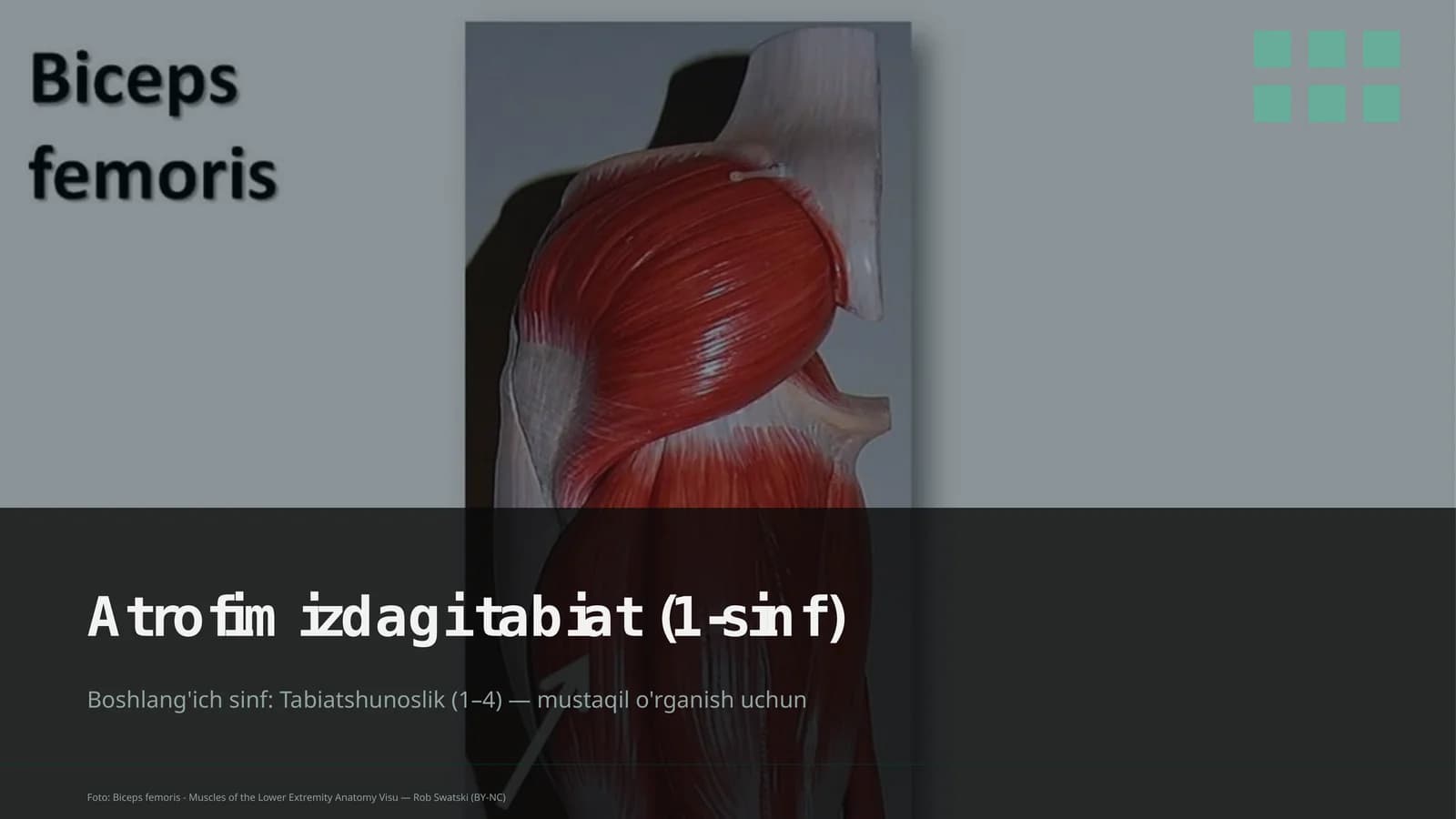 Atrofimizdagi tabiat (1-sinf)