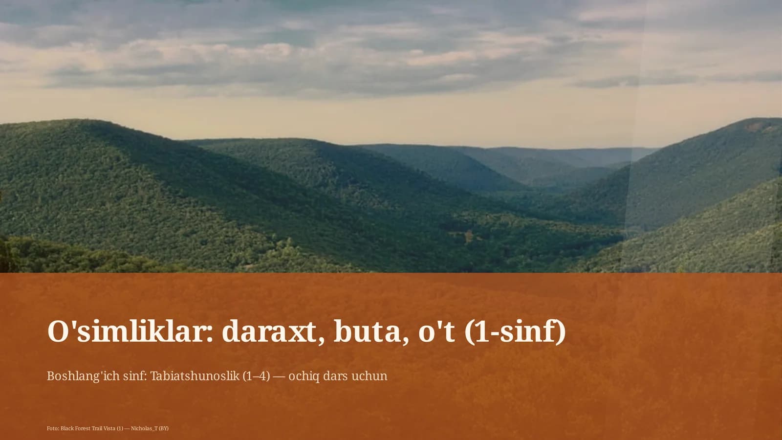 O'simliklar: daraxt, buta, o't (1-sinf)