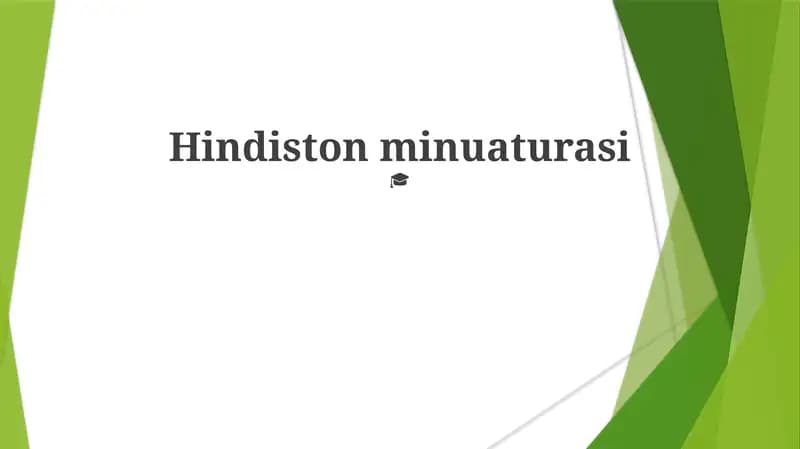 Hindiston minuaturasi