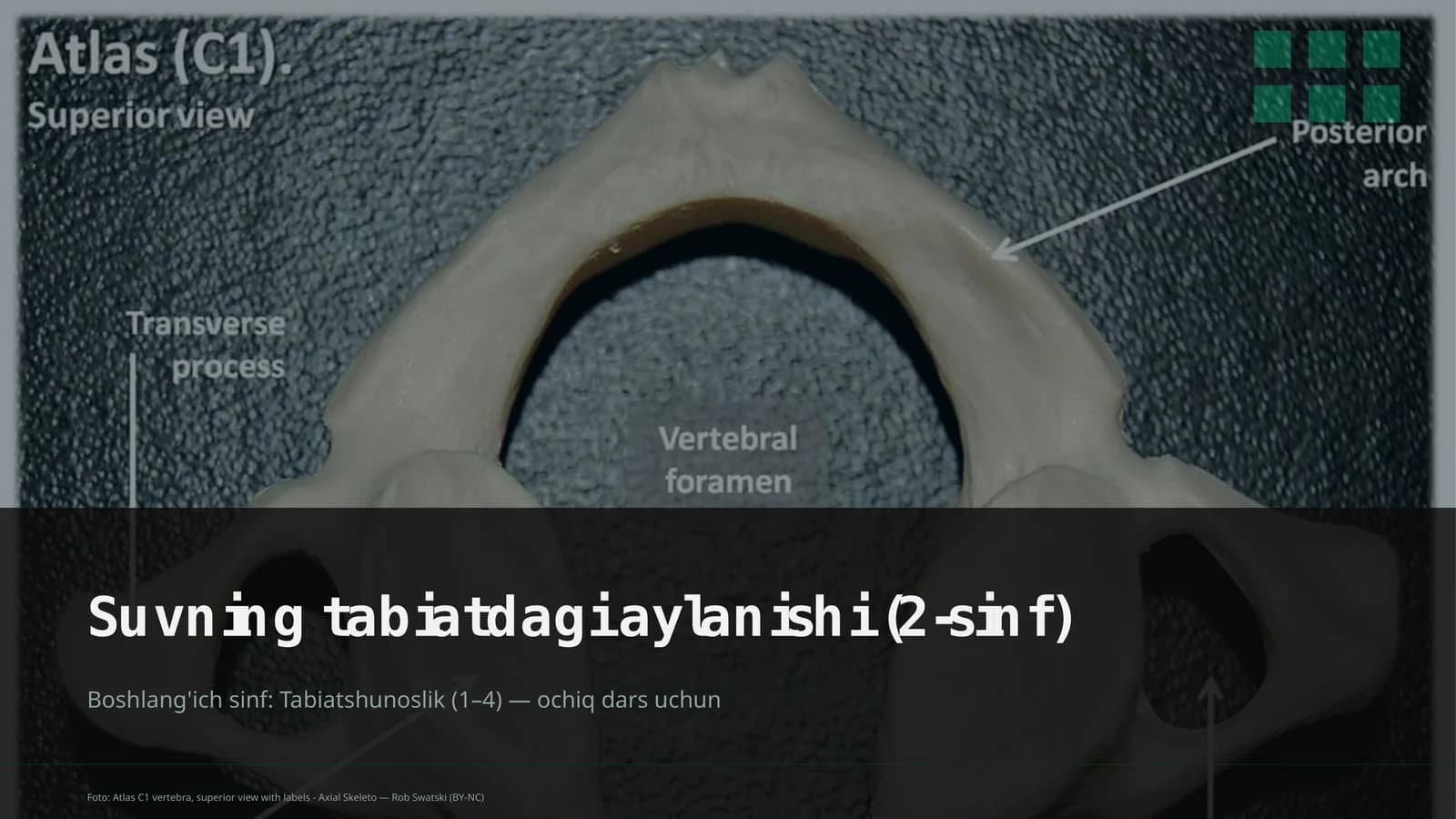 Suvning tabiatdagi aylanishi (2-sinf)