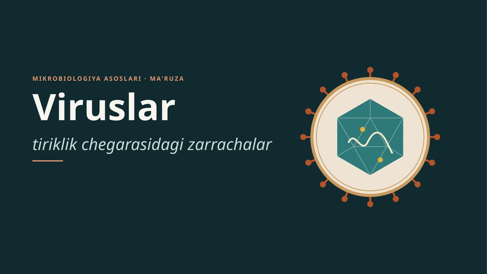 Viruslar