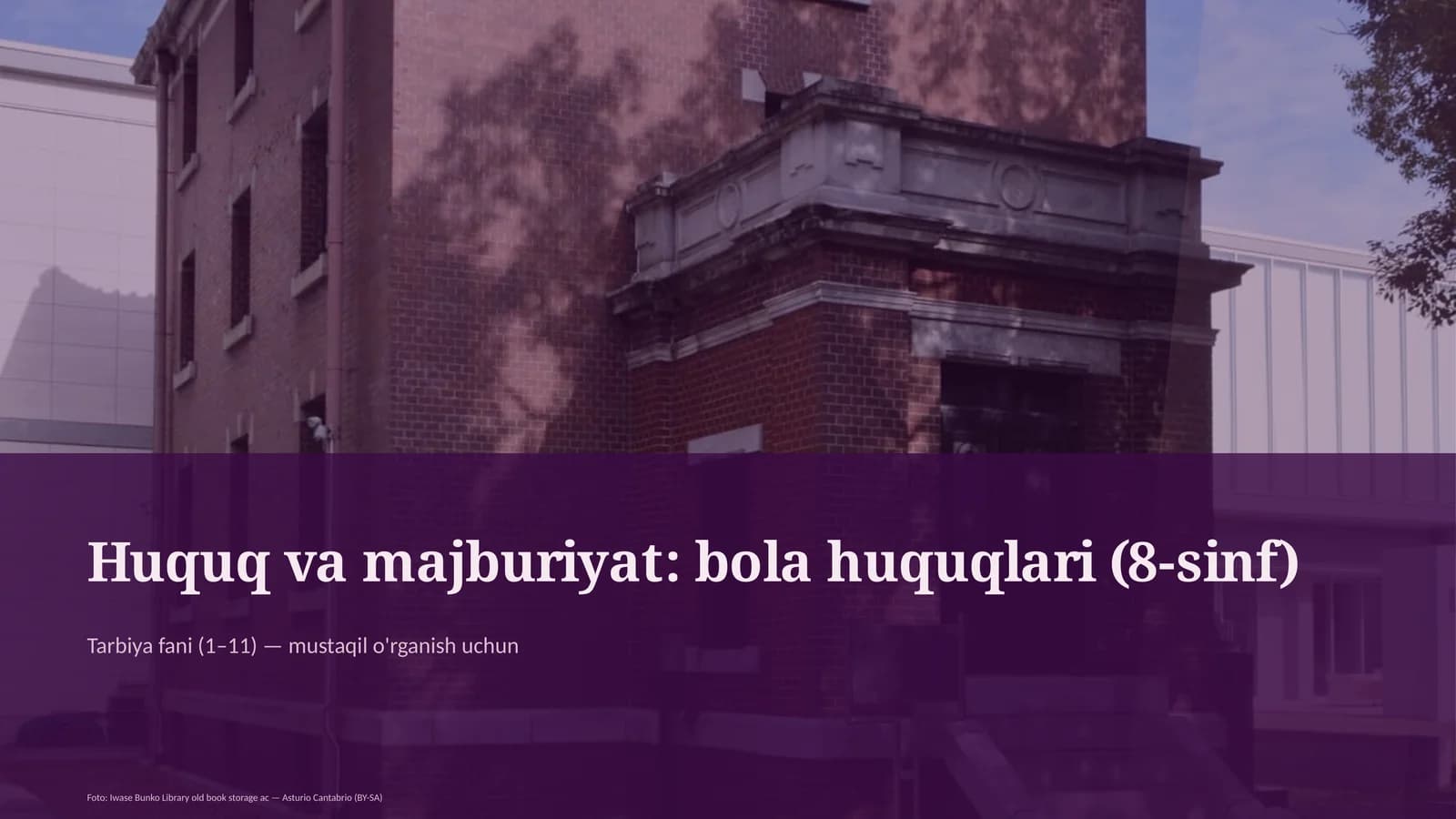 Huquq va majburiyat: bola huquqlari (8-sinf)