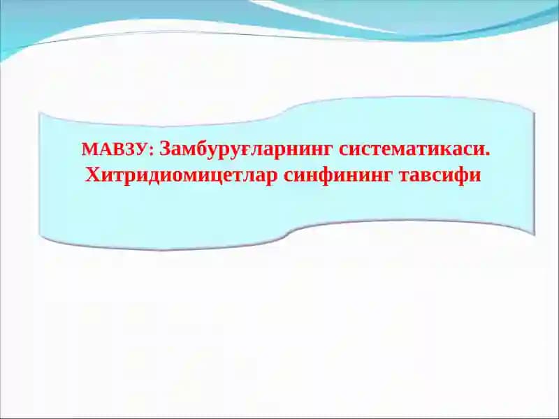 Замбуруғларнинг систематикаси. Хитридиомицетлар синфининг тавсифи