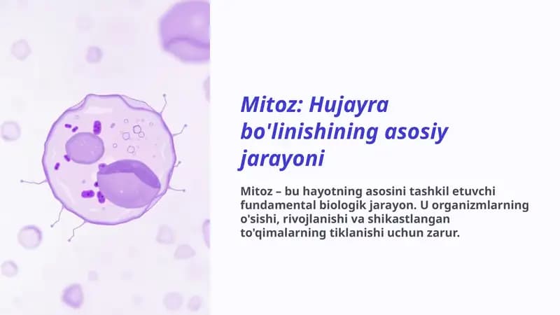 Mitoz
