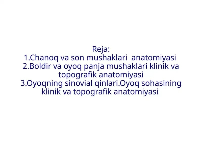 Oyoq suyaklari