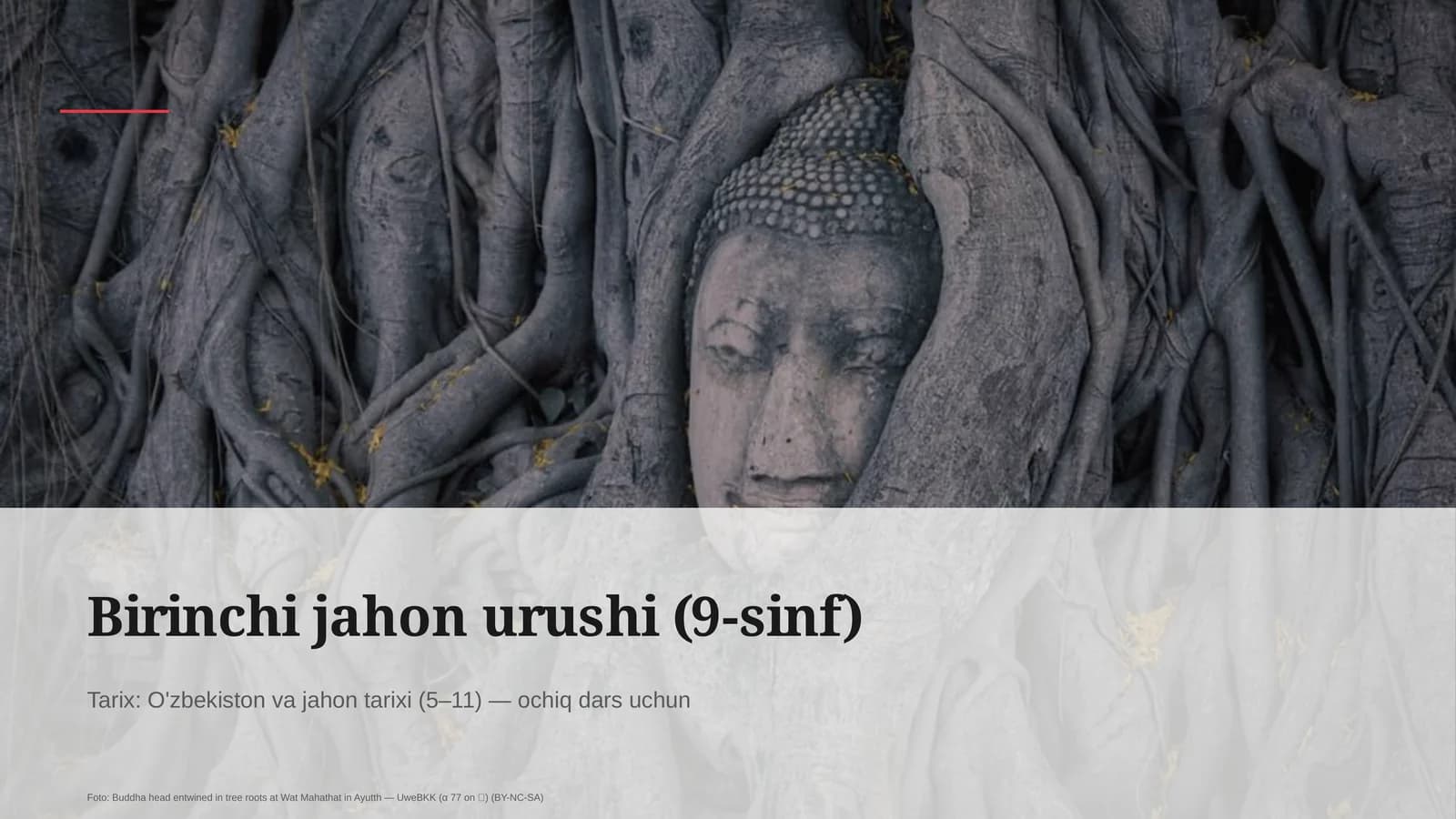 Birinchi jahon urushi (9-sinf)