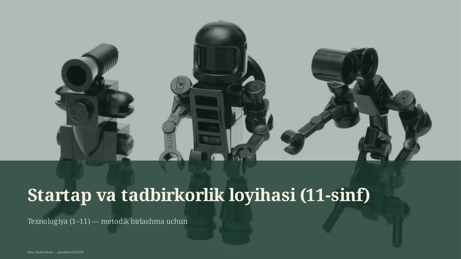 Startap va tadbirkorlik loyihasi (11-sinf)