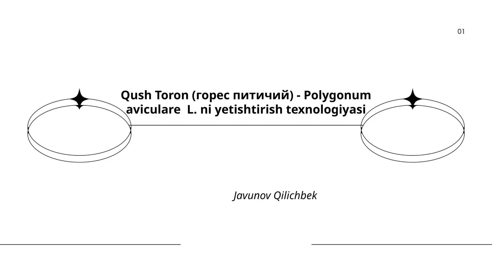Qush Toron (горес питичий) - Polygonum aviculare L. ni yetishtirish texnologiyasi