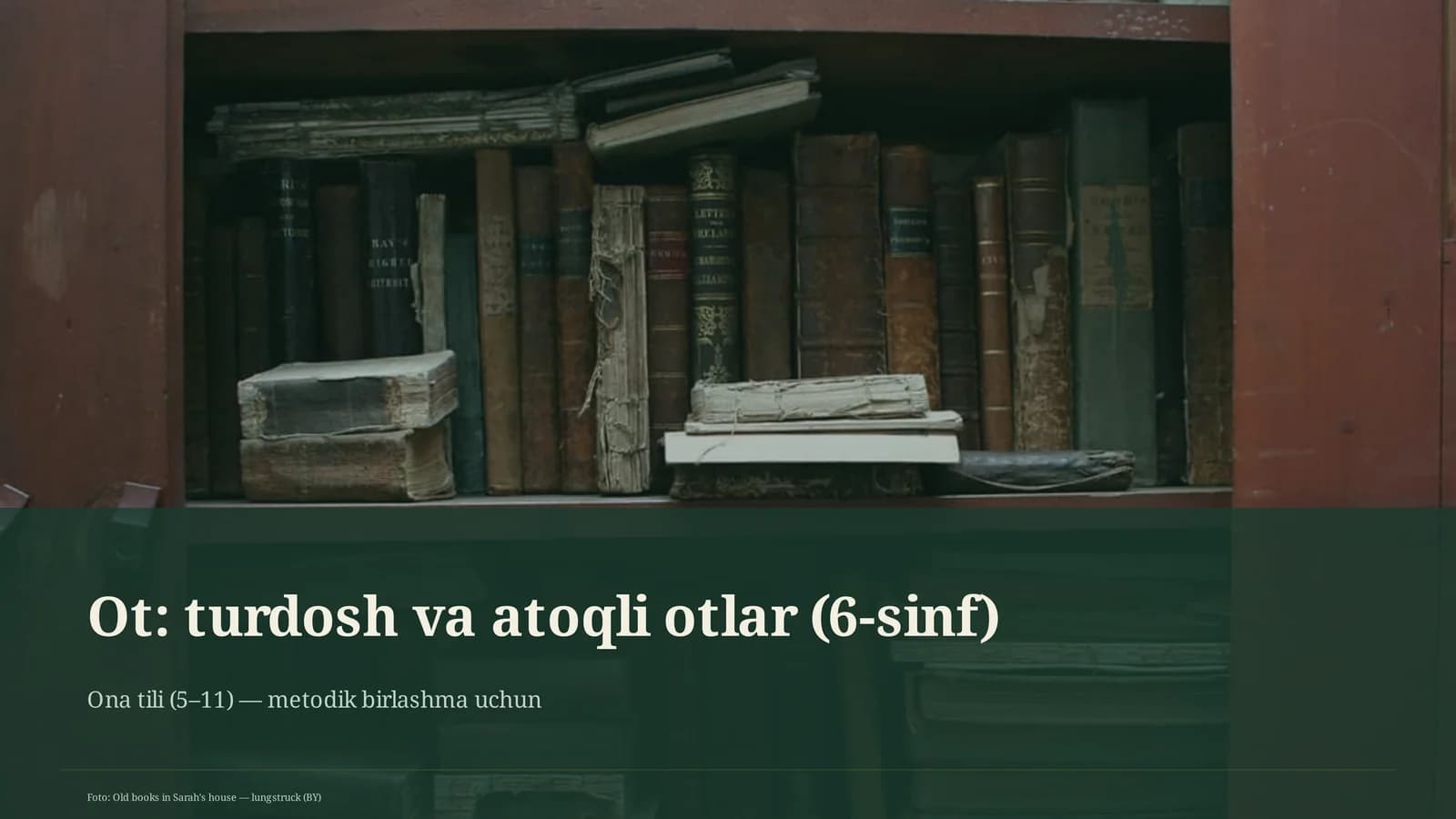 Ot: turdosh va atoqli otlar (6-sinf)