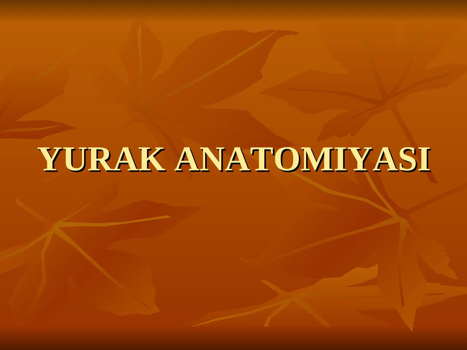 YURAK ANATOMIYASI