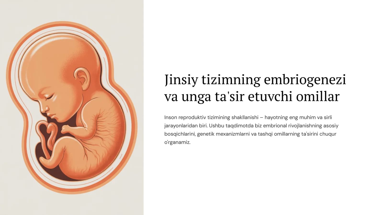Jinsiy tizimning embriogenezi va unga ta'sir etuvchi omillar