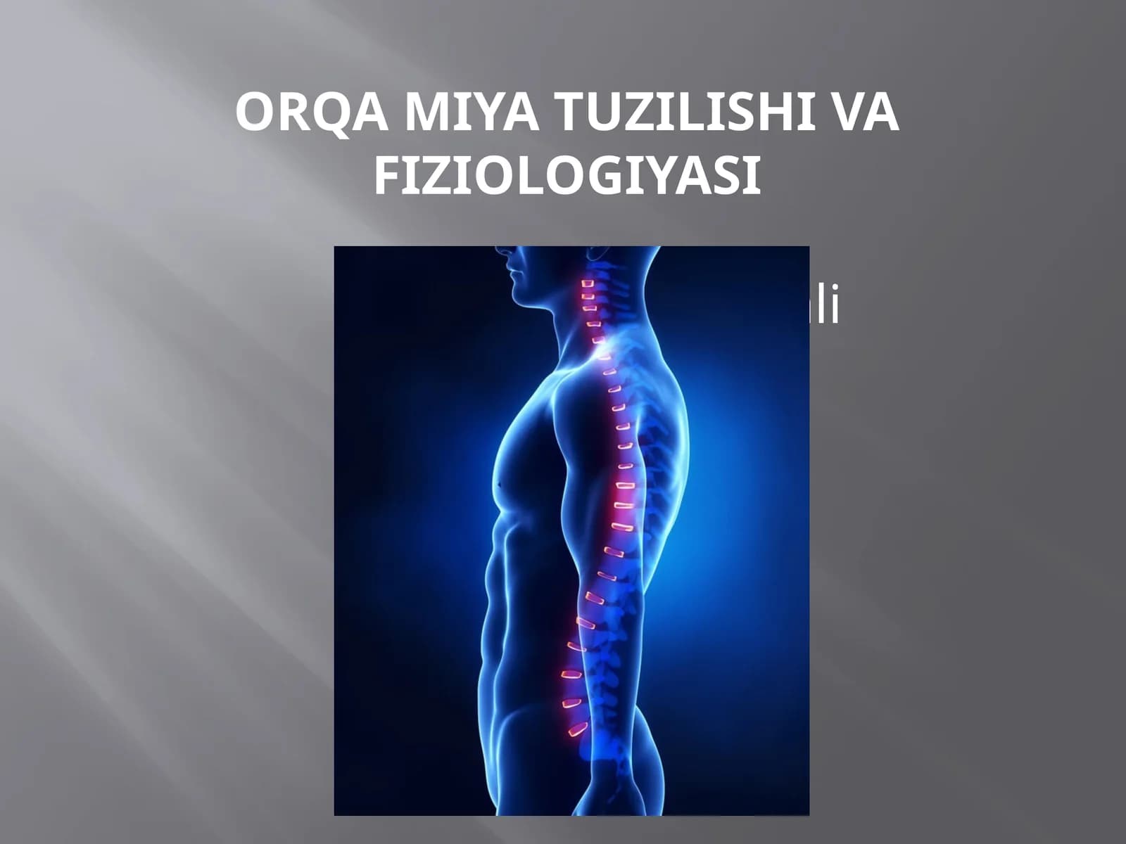 Orqa miya tuzilishi va fiziologiyasi