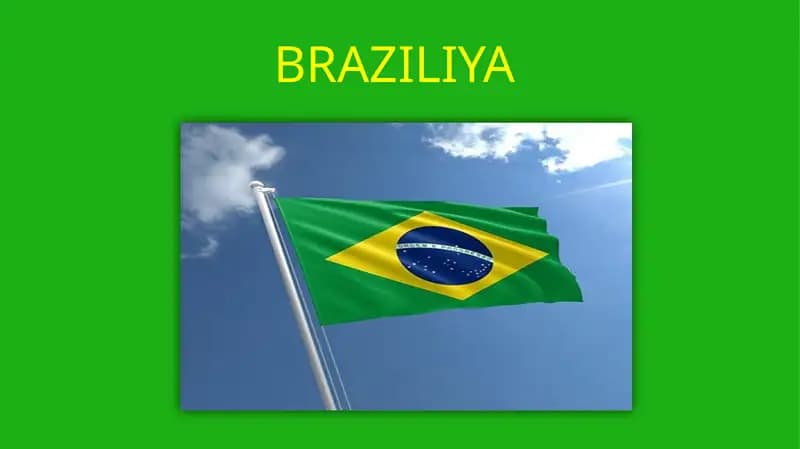 BRAZILIYA REJA