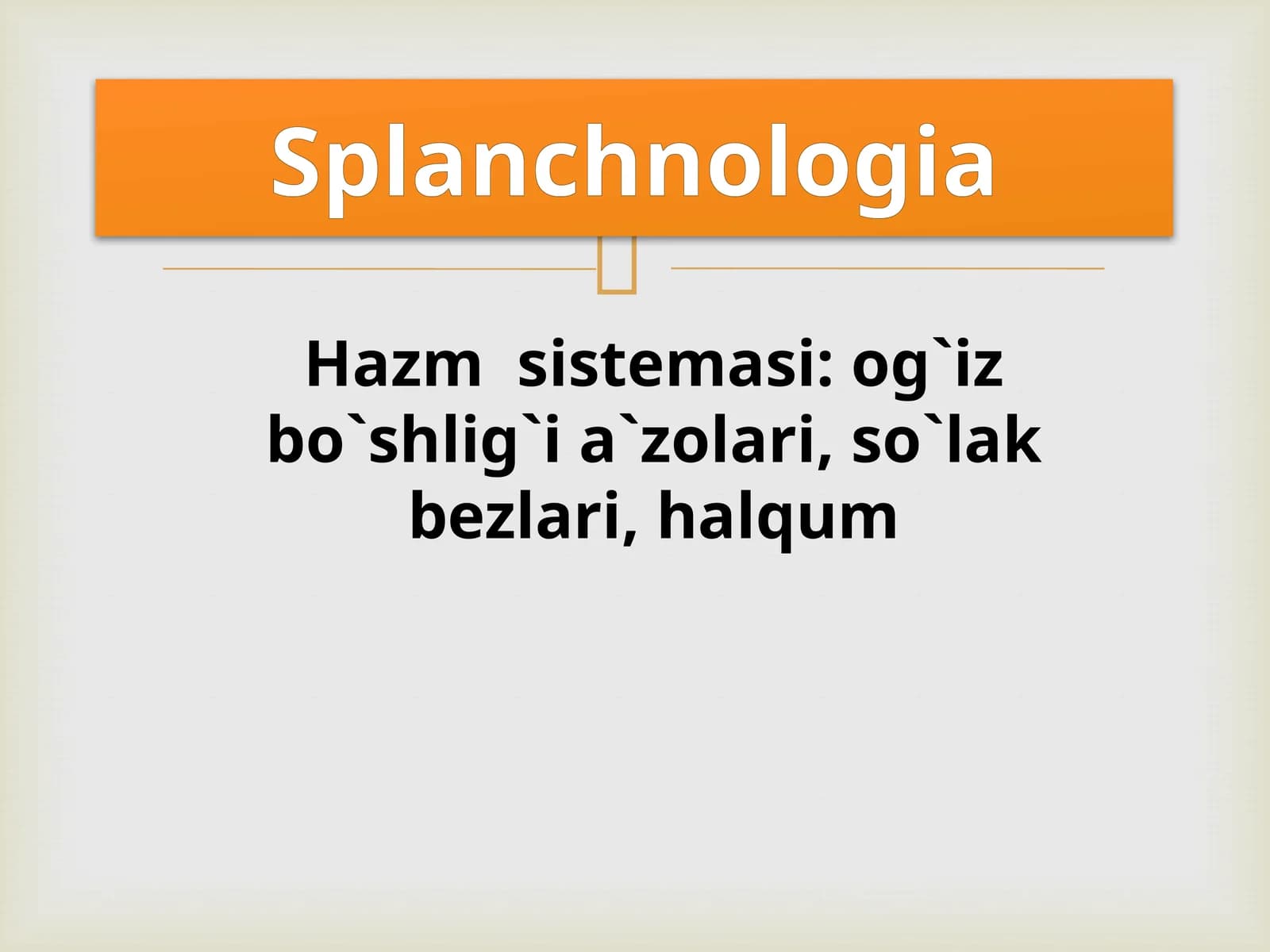 Hazm  sistemasi: og`iz bo`shlig`i a`zolari, so`lak bezlari, halqum/Splanchnologia
