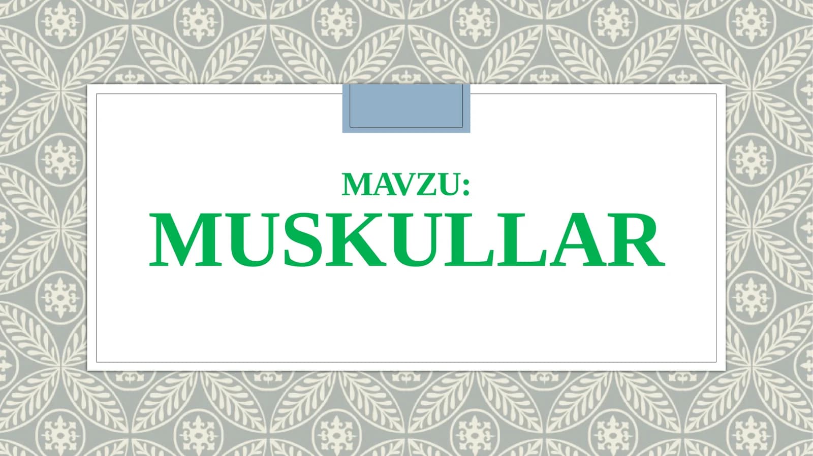 Muskullar