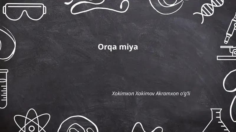 Orqa miya