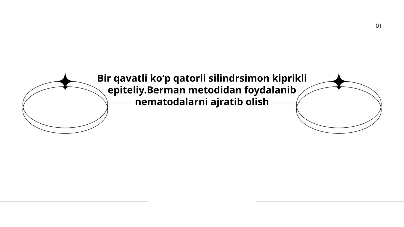 Bir qavatli koʻp qatorli silindrsimon kiprikli epiteliy anatomiyasi