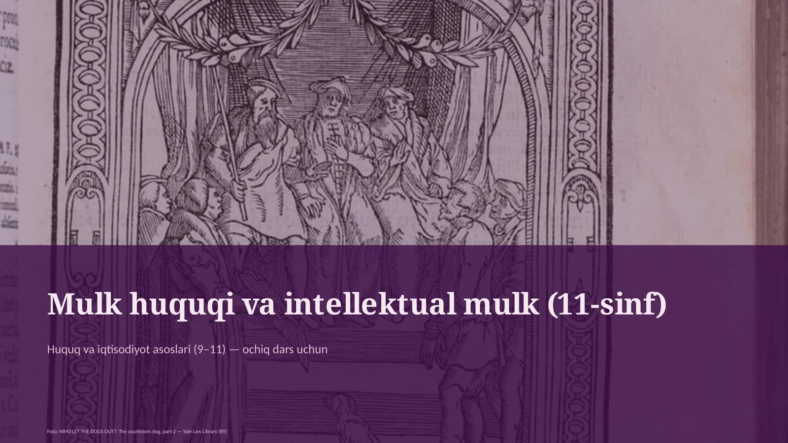 Mulk huquqi va intellektual mulk (11-sinf)