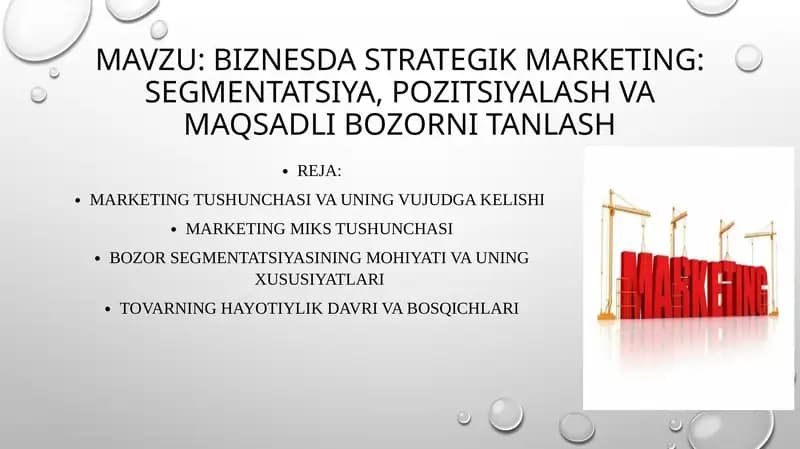 BIZNESDA STRATEGIK MARKETING: SEGMENTATSIYA, POZITSIYALASH VA MAQSADLI BOZORNI TANLASH