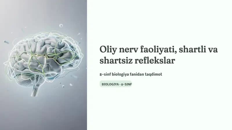 Oliy nerv faoliyati, shartli va shartsiz reflekslar