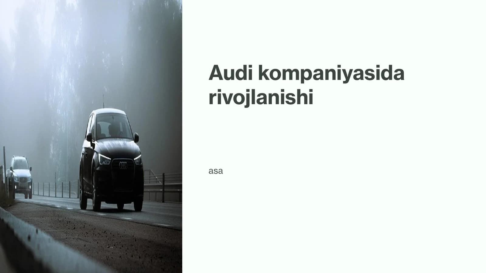 Audi kompaniyasi
