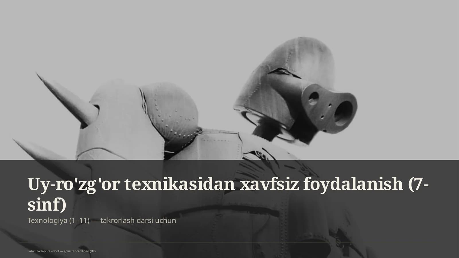 Uy-ro'zg'or texnikasidan xavfsiz foydalanish (7-sinf)