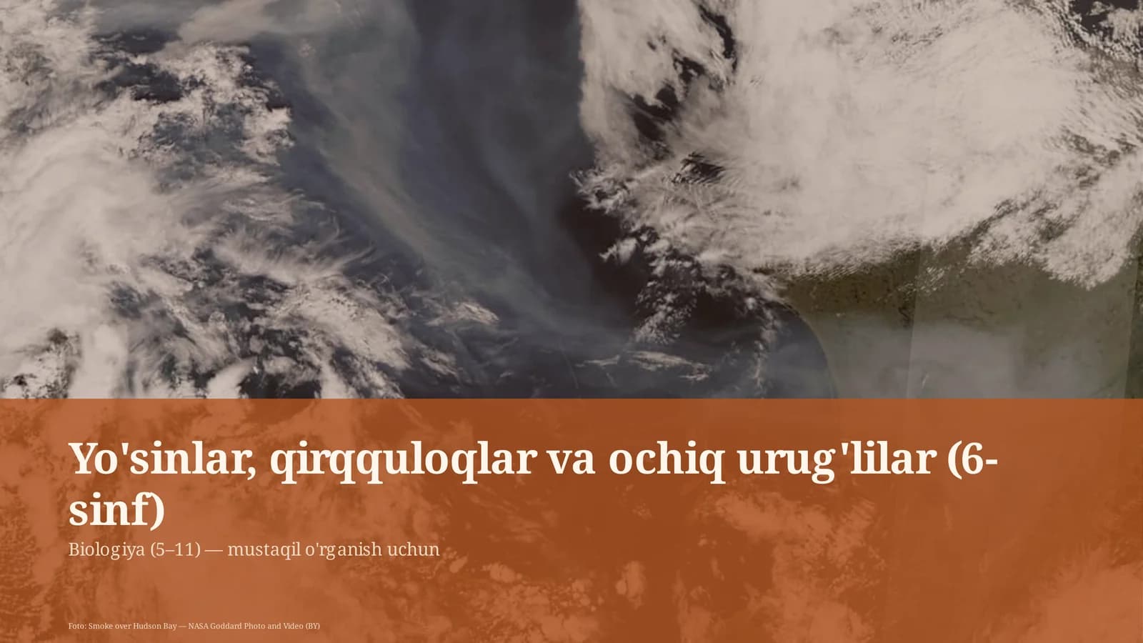 Yo'sinlar, qirqquloqlar va ochiq urug'lilar (6-sinf)