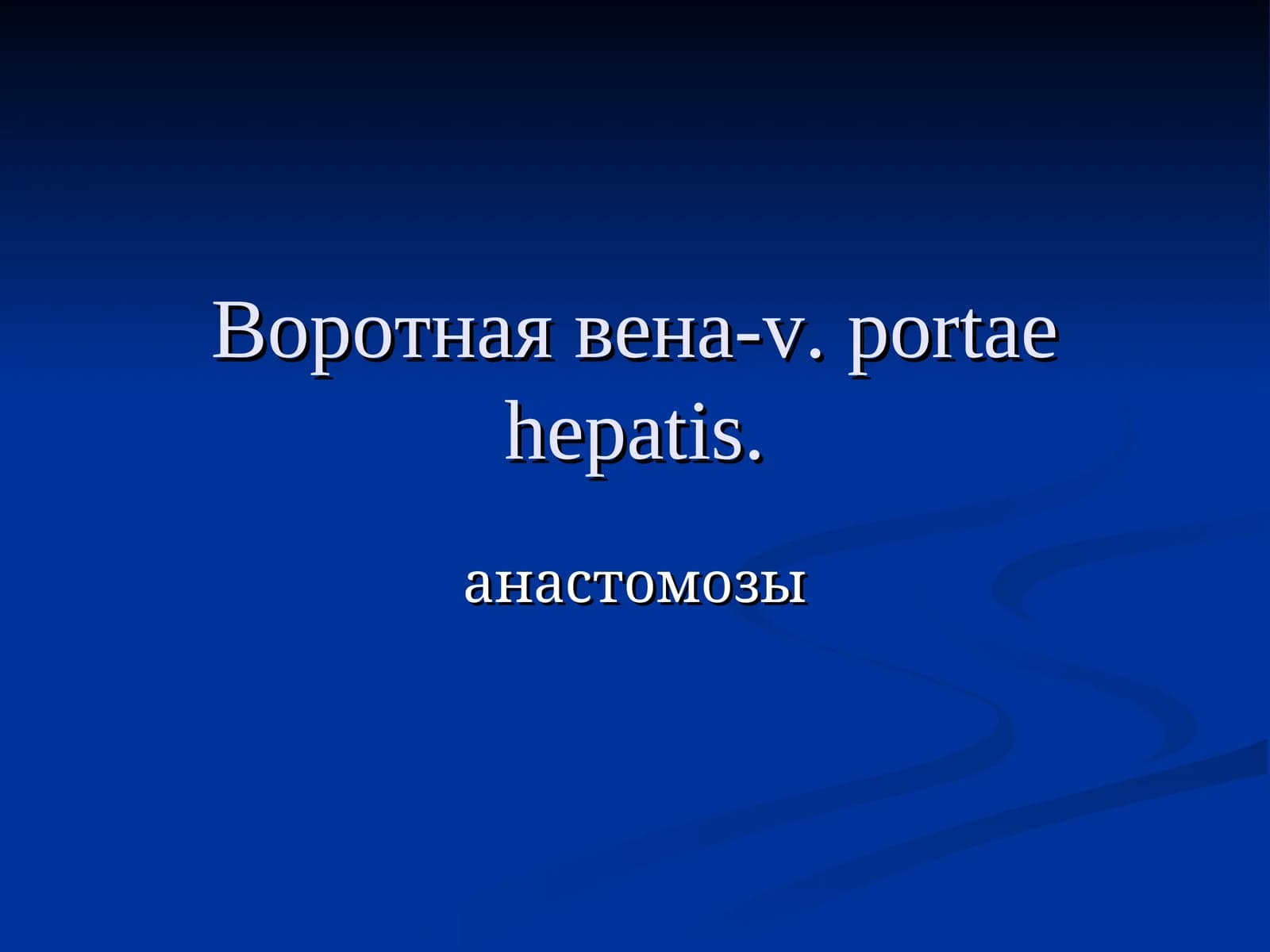 Воротная вена-v. portaehepatis