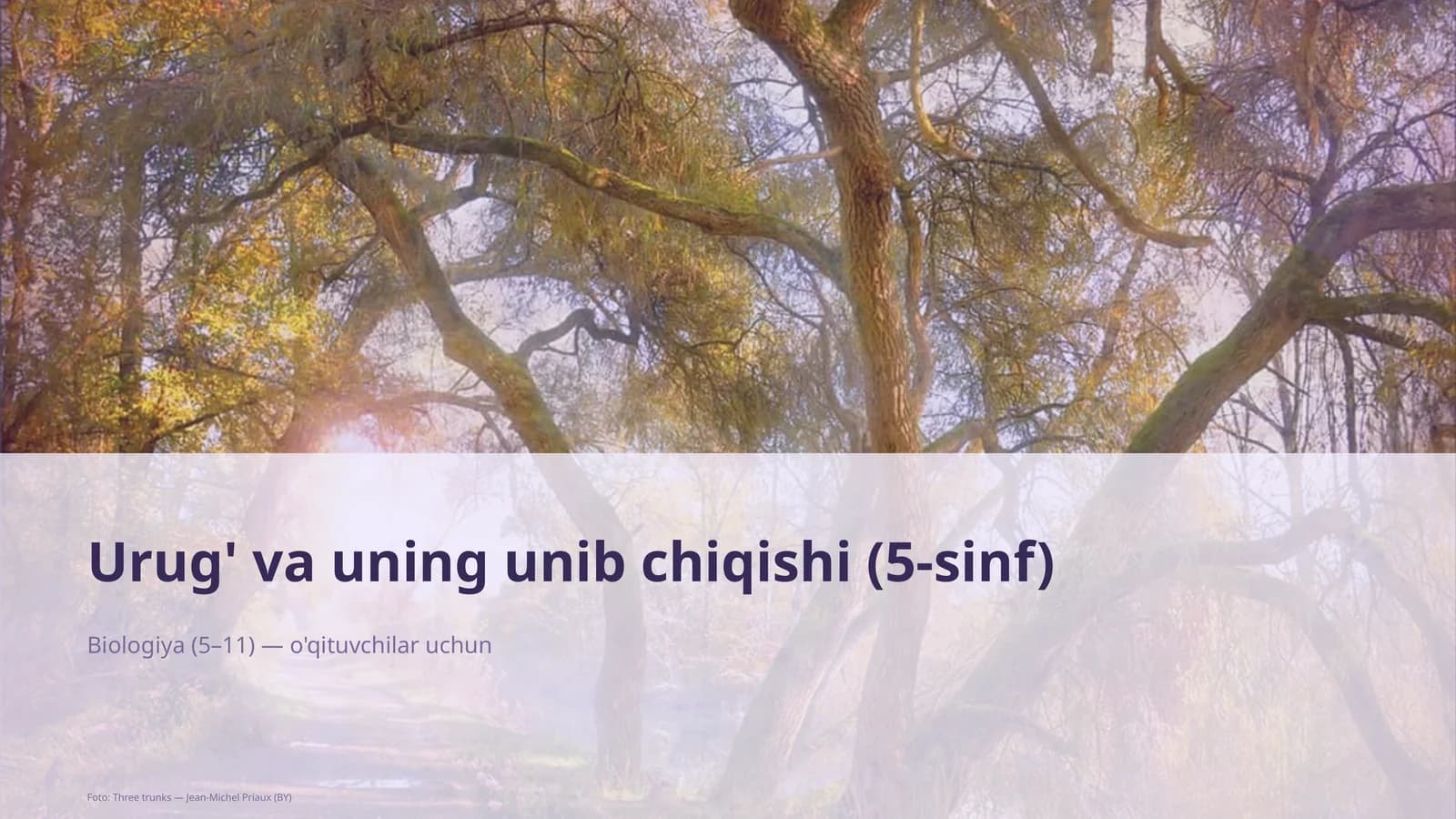 Urug' va uning unib chiqishi (5-sinf)