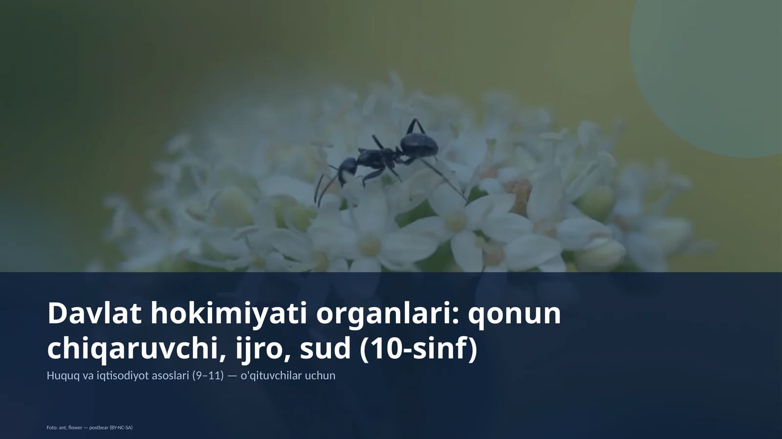 Huquq va iqtisodiyot asoslari (9–11)