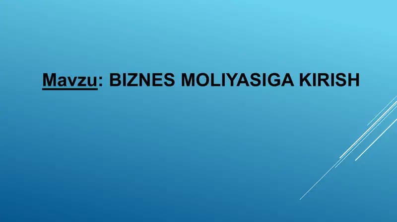 Biznes Moliyasi