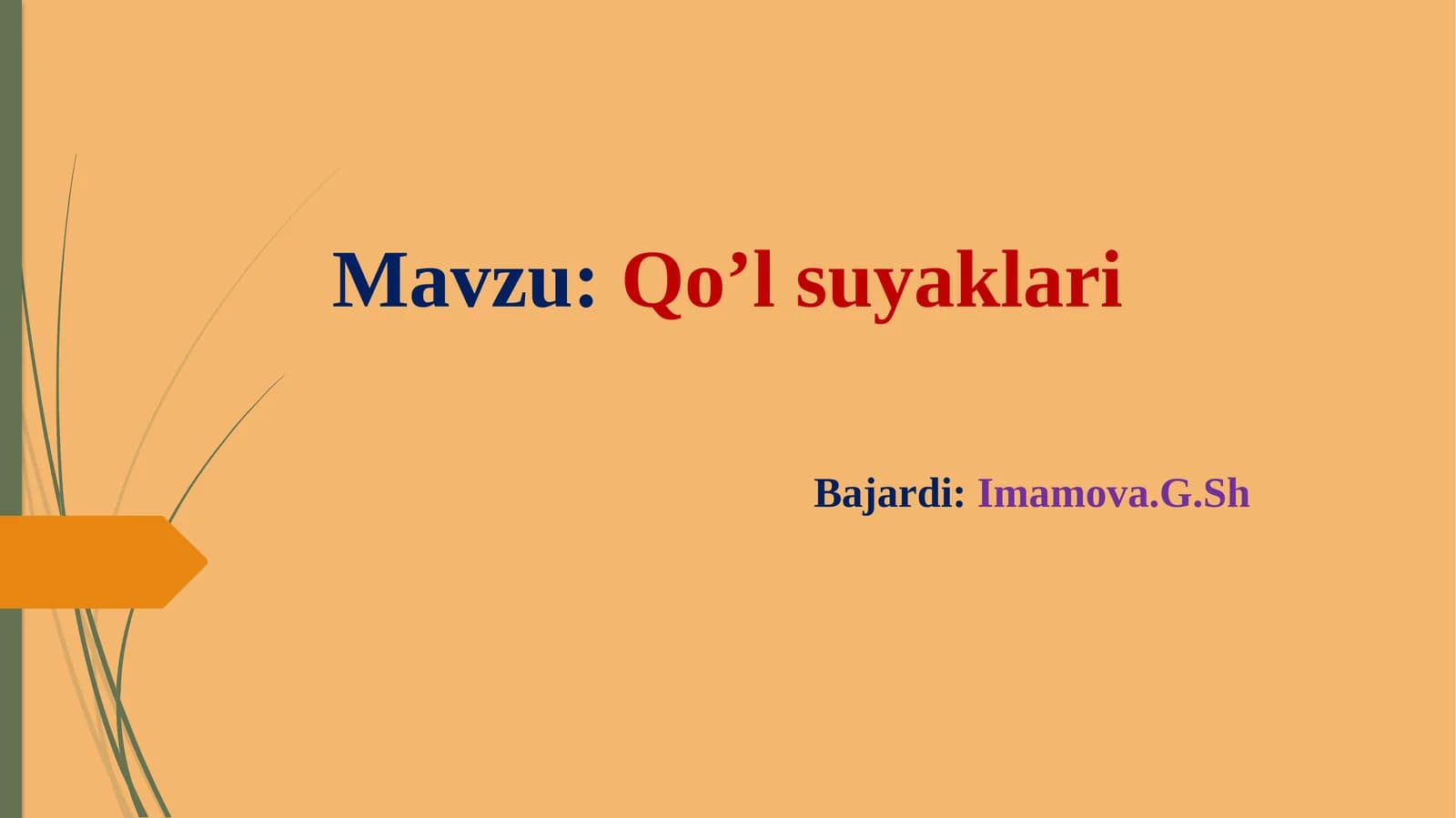 Qo’lsuyaklari