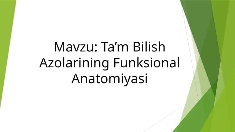 Ta’m Bilish Azolarining Funksional Anatomiyasi