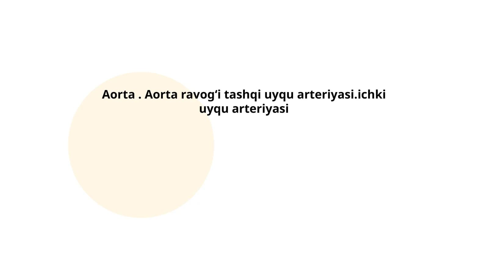 Aorta Anatomiyasi
