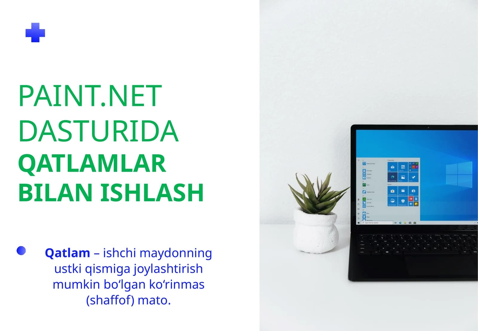 Paint.NET DASTURIDA