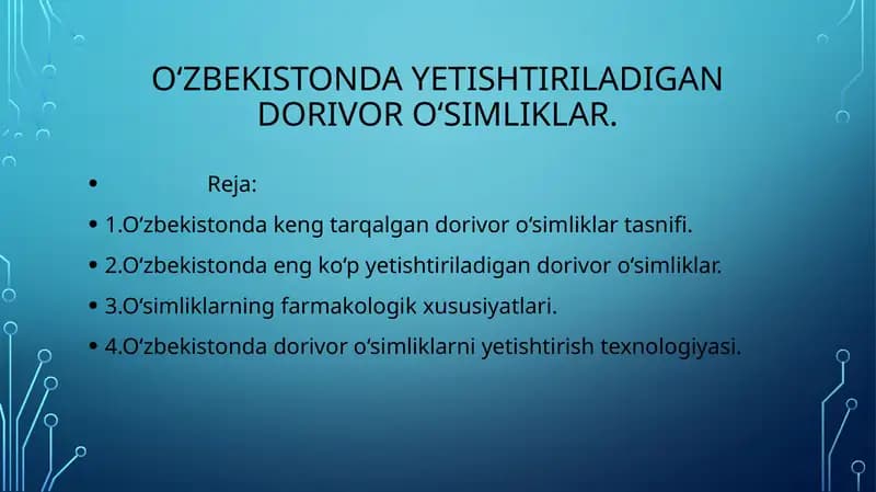O‘zbekistonda yetishtiriladigan dorivor o‘simliklar.