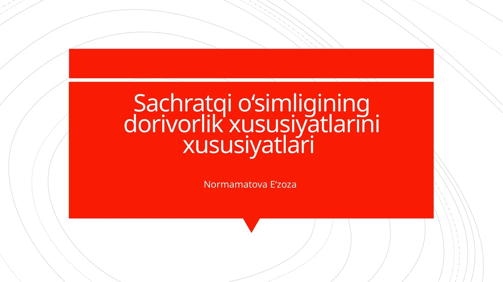 Sachratqi o‘simligining dorivorlik xususiyatlarini xususiyatlari