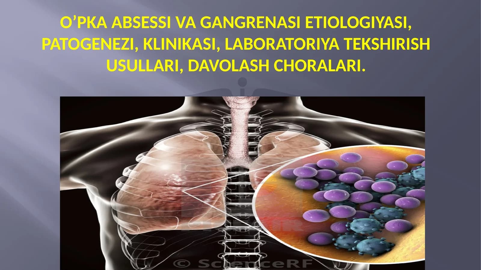 O’PKA ABSESSI VA GANGRENASI ETIOLOGIYASI, PATOGENEZI, KLINIKASI, LABORATORIYA TEKSHIRISH USULLARI, DAVOLASHCHORALARI