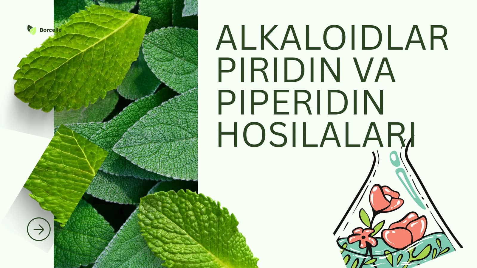 ALKALOIDLARPIRIDIN VA PIPERIDIN HOSILALARI