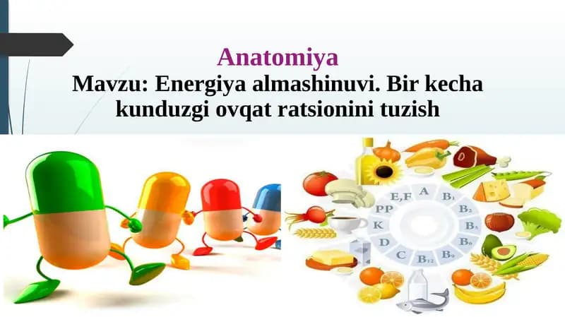 Anatomiya