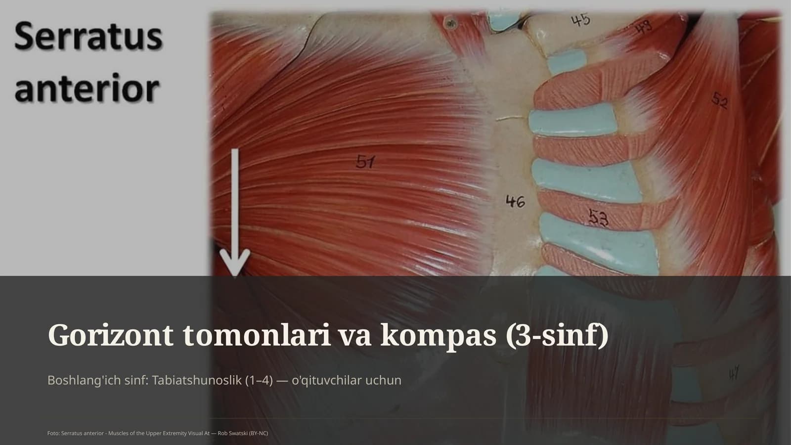 Gorizont tomonlari va kompas (3-sinf)