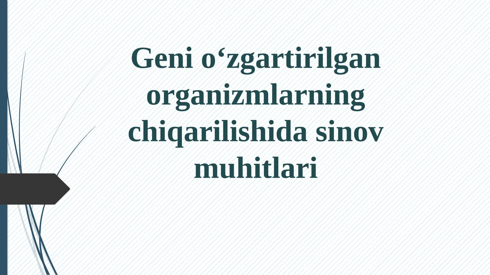 Geni o‘zgartirilgan organizmlarning chiqarilishida sinov muhitlari