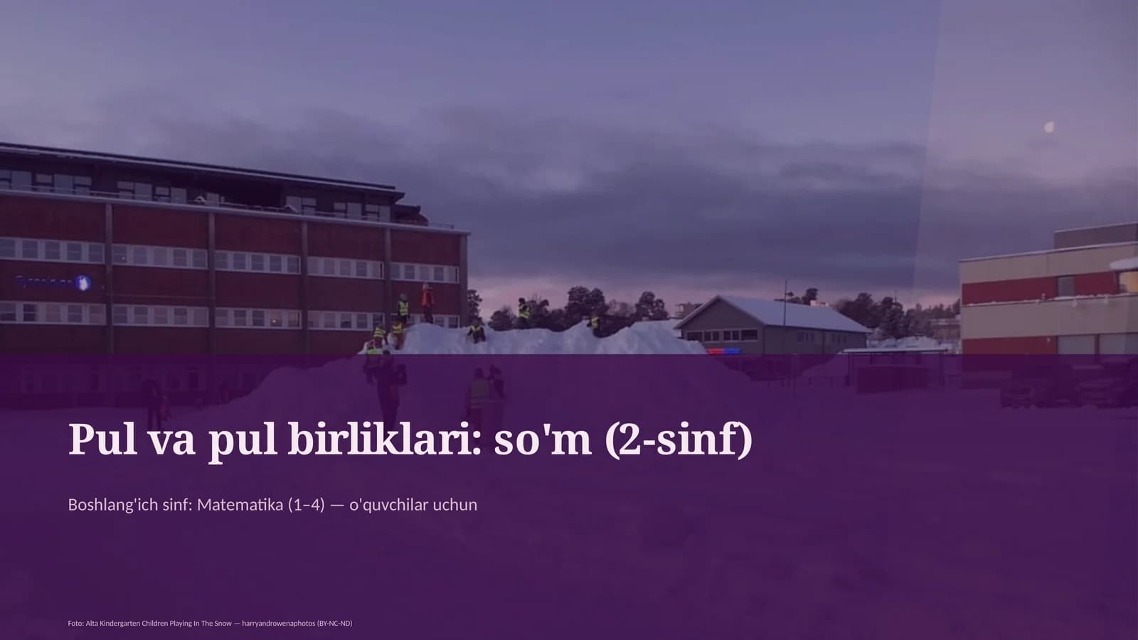 Pul va pul birliklari: so'm (2-sinf)