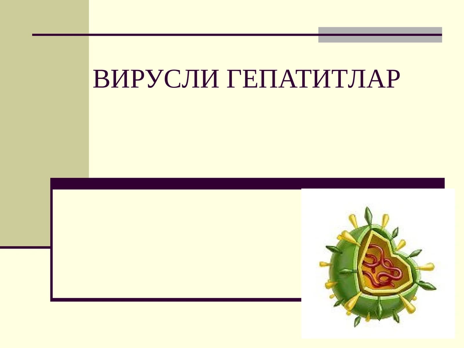 ВИРУСЛИ ГЕПАТИТЛАР