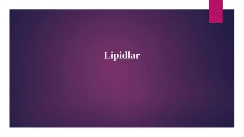 Lipidlar