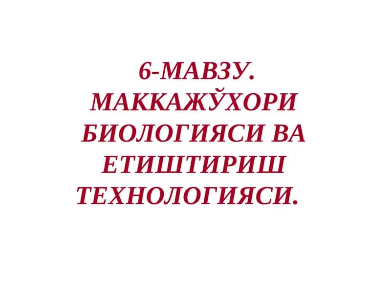 Маккажўхори биологияси ва етиштириш технологияси