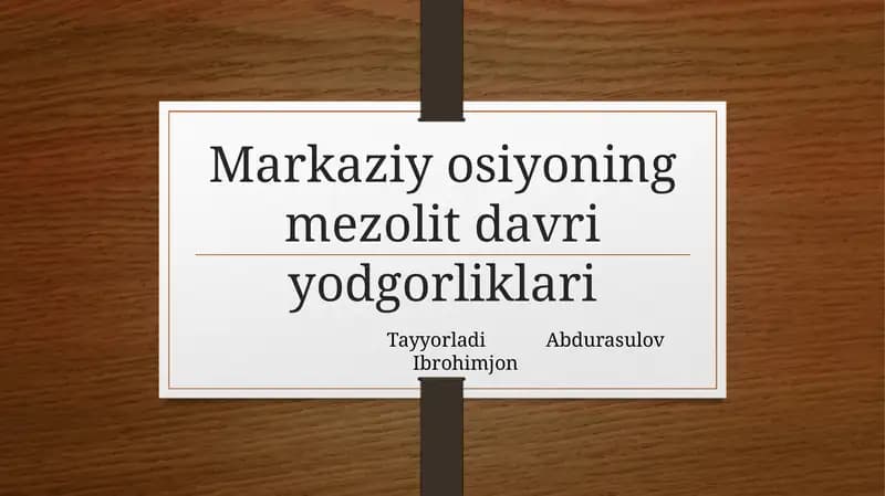 Mezolit davri manzilgohlari