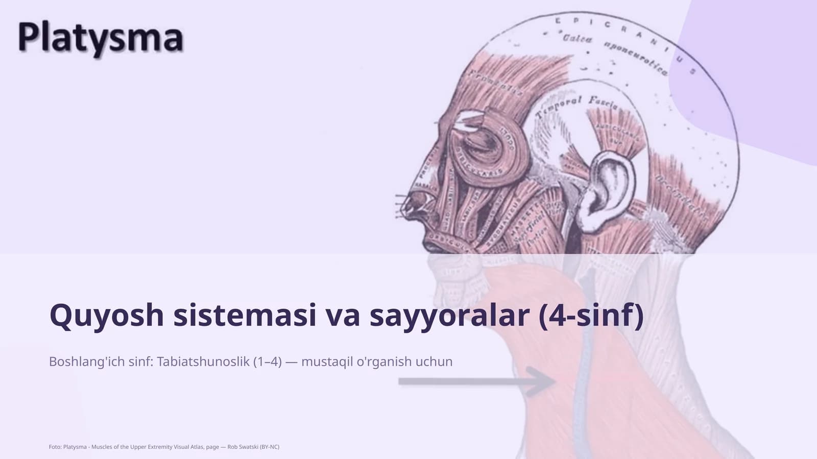Quyosh sistemasi va sayyoralar (4-sinf)