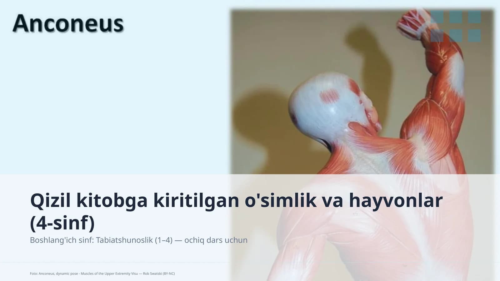 Qizil kitobga kiritilgan o'simlik va hayvonlar (4-sinf)